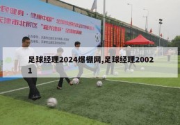 足球经理2024爆棚网,足球经理20021