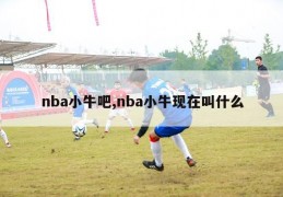 nba小牛吧,nba小牛现在叫什么