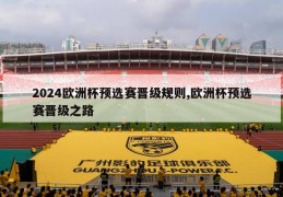 2024欧洲杯预选赛晋级规则,欧洲杯预选赛晋级之路