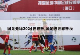 国足无缘2024世界杯,国足进世界杯没