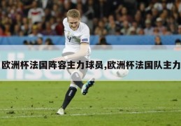 欧洲杯法国阵容主力球员,欧洲杯法国队主力