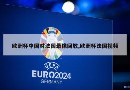 欧洲杯中国对法国录像回放,欧洲杯法国视频